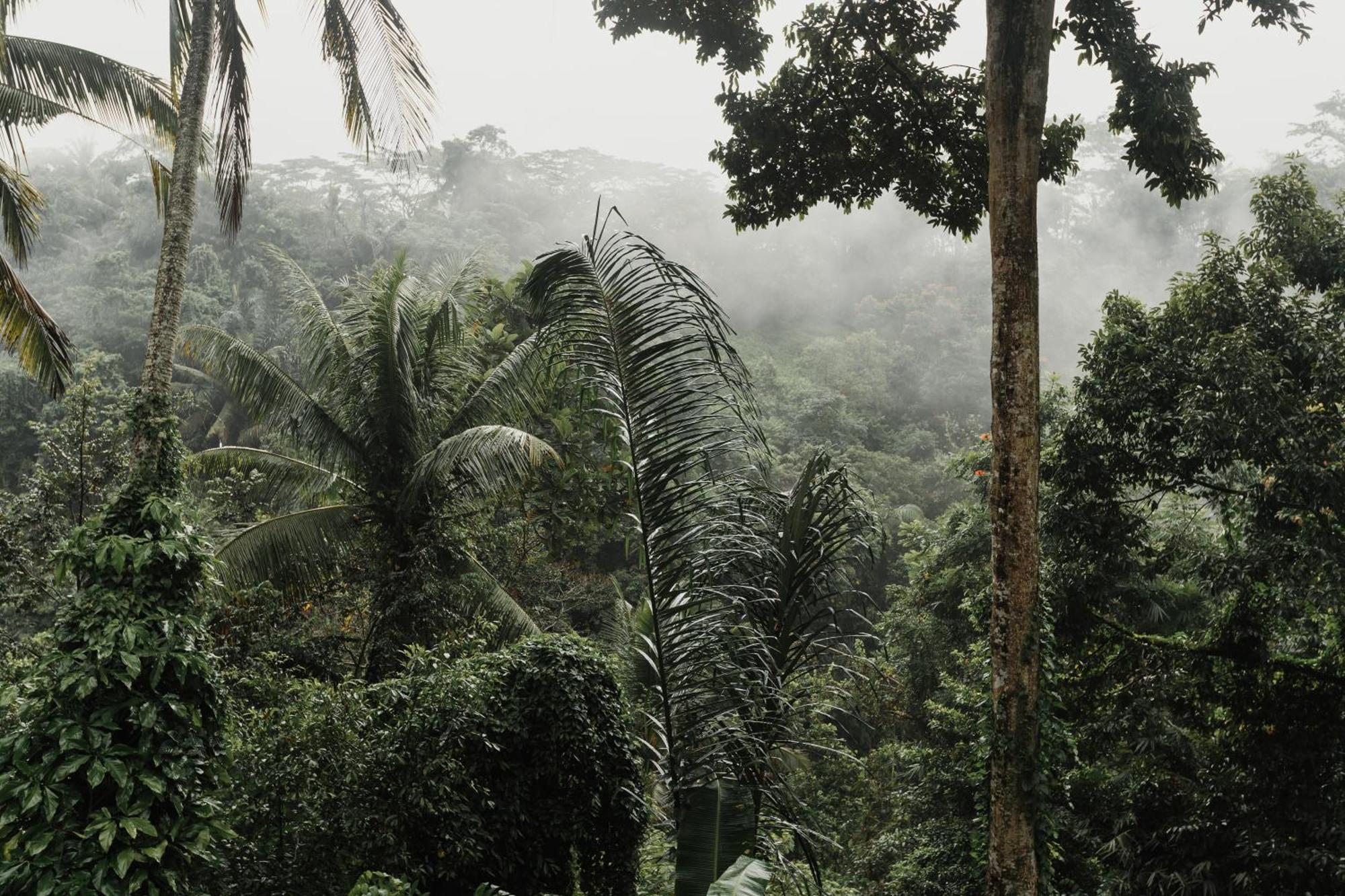 The Iyang Ubud Esterno foto